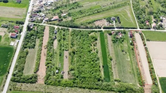 Teren intravilan de vanzare - Viile Satu Mare  33 ari