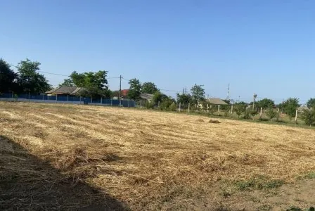 Teren Intravilan Sacele Constanta