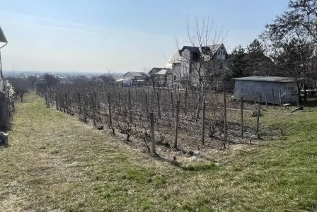 Teren Intravilan Blejoi Prahova