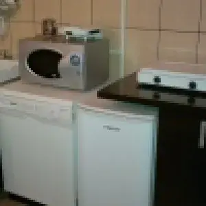 Particular, inchiriez casa de vacanta cu vedere panoramica catre Caraiman, Busteni, 750 euro/luna