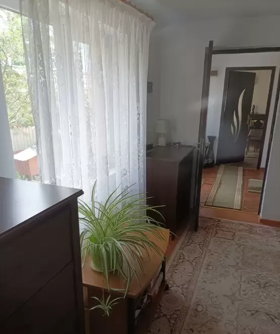 Casa teren pomi vie solar