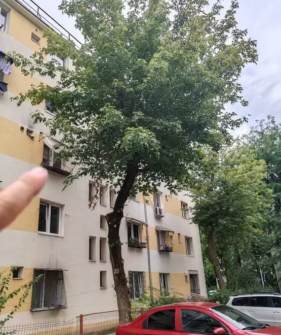Vand garsoniera Str Stolnicu Vasile Bucuresti