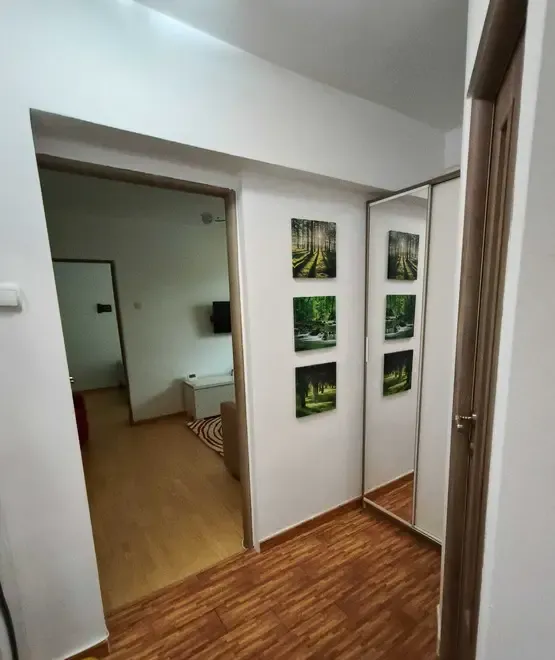 Apartament 2 camere de vanzare
