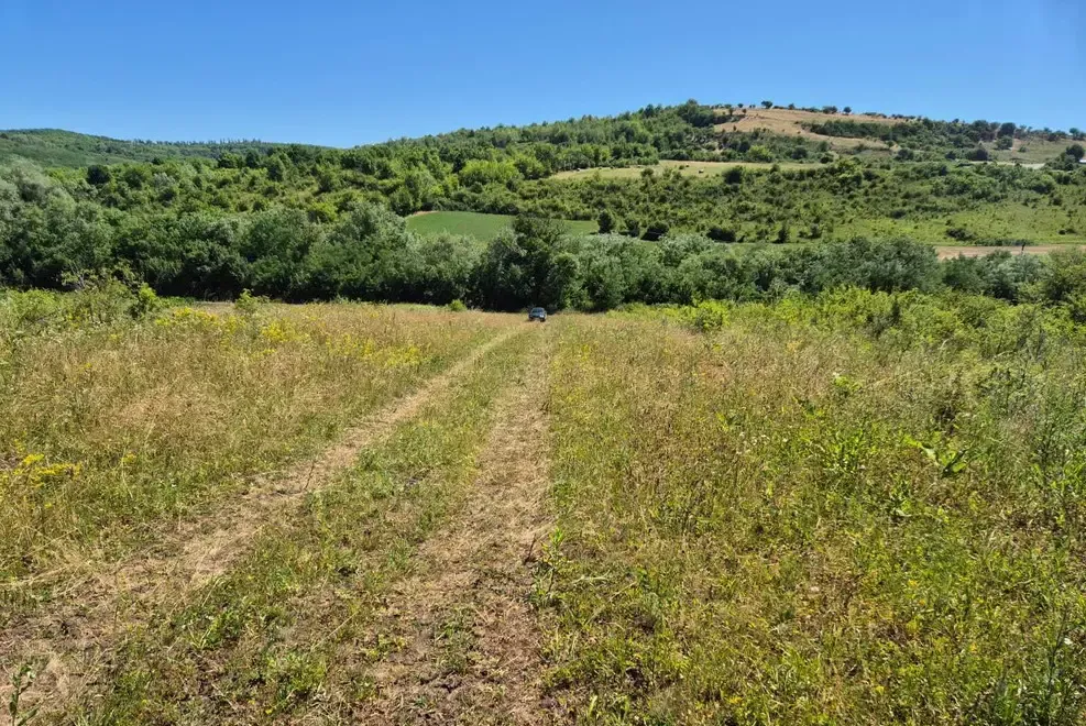 Vand teren extravilan arabil 5000 mp Hamba URGENT