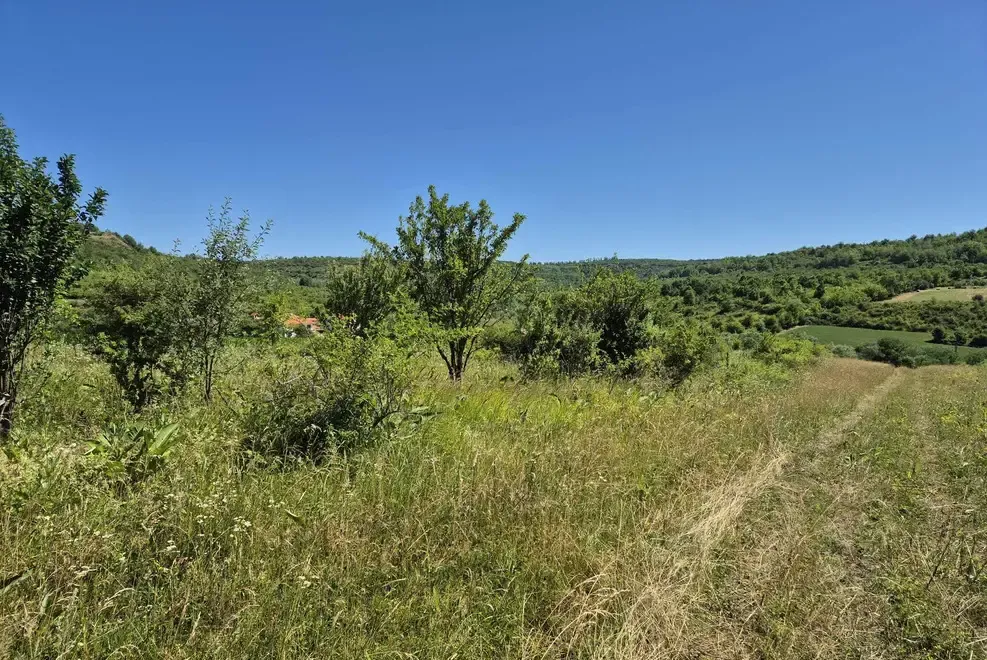 Vand teren extravilan arabil 5000 mp Hamba URGENT