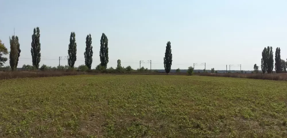 Teren de Vanzare Intravilan 3450 Darza