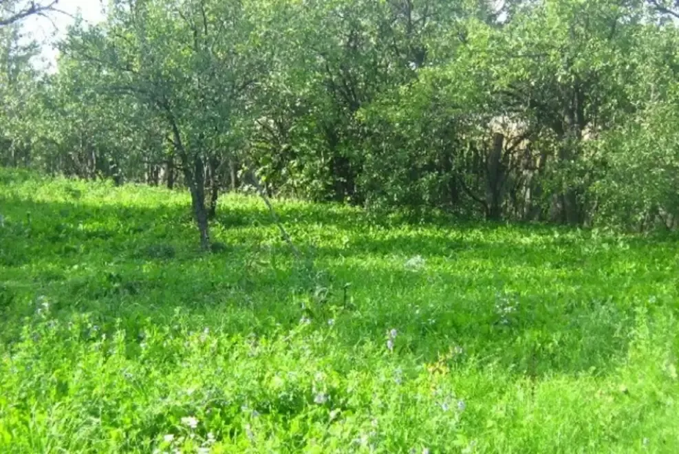 Teren intravilan pretabil constructie