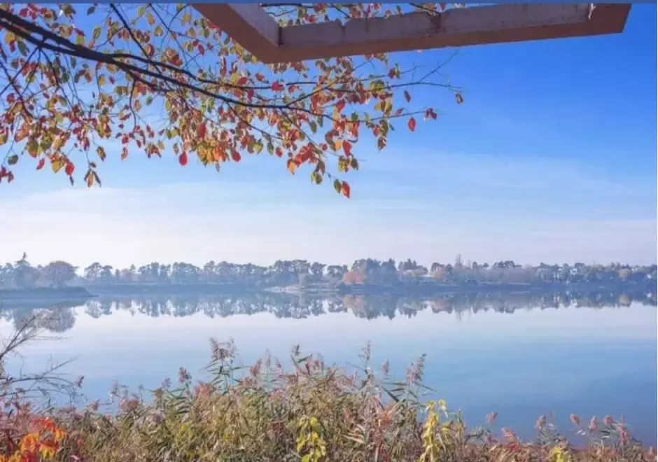 TEREN de VANZARE LACUL BUFTEA