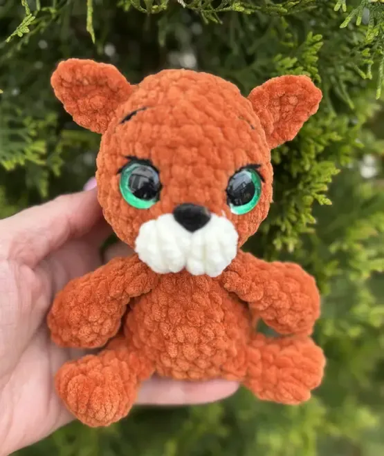 Pisicuta crosetata manual