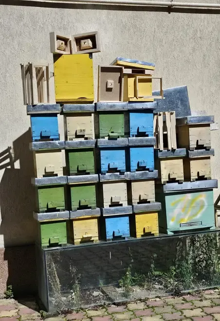 NUCLEE pentru imperecheat matci albine