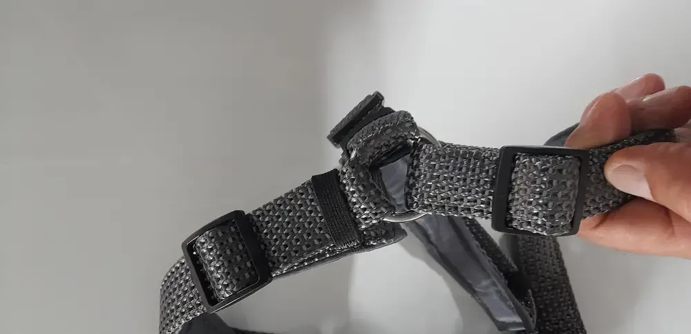 Zgarda catel Anione mar L