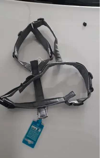 Zgarda catel Anione mar L