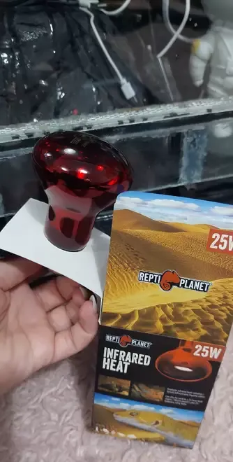 Terariu animale exotice