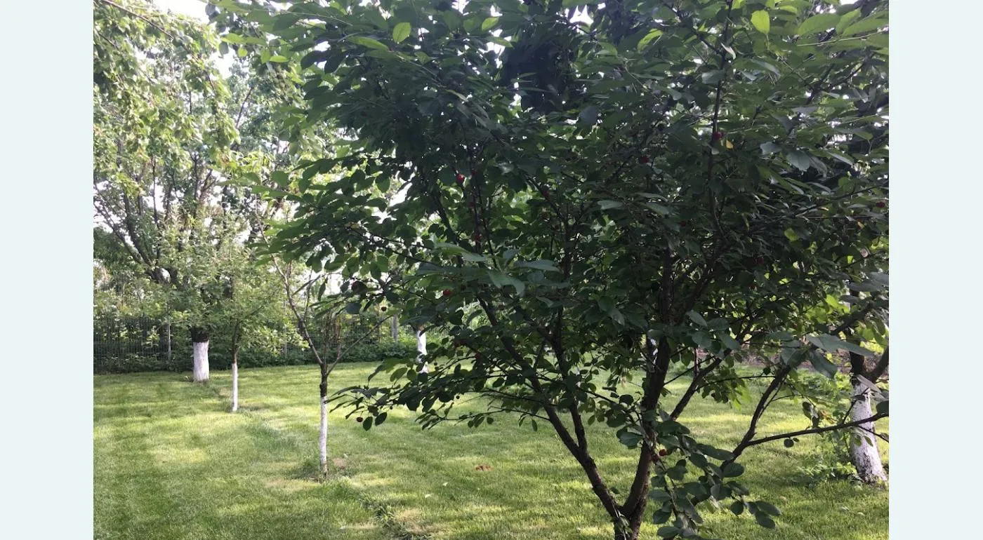 Casa de vanzare langa Bucuresti