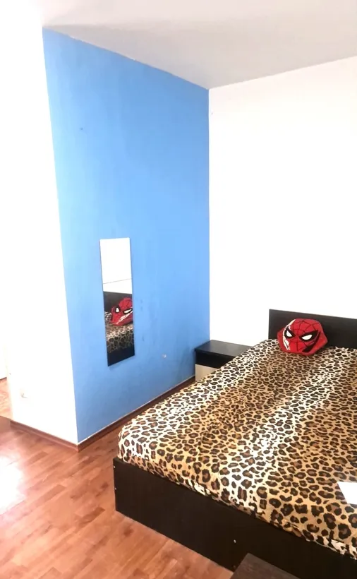 Stefan cel Mare Lizeanu Otesani