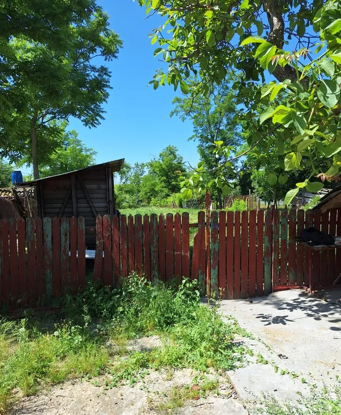 Mihai Viteazu jud Calarasi