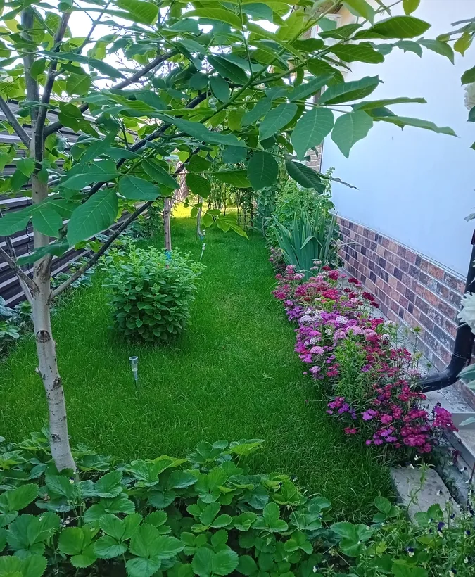 Mihailesti Popesti judetul Giurgiu