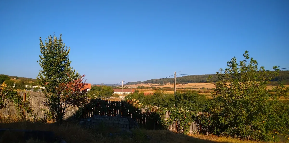 Salcia sat comuna Argetoaia jud Dolj