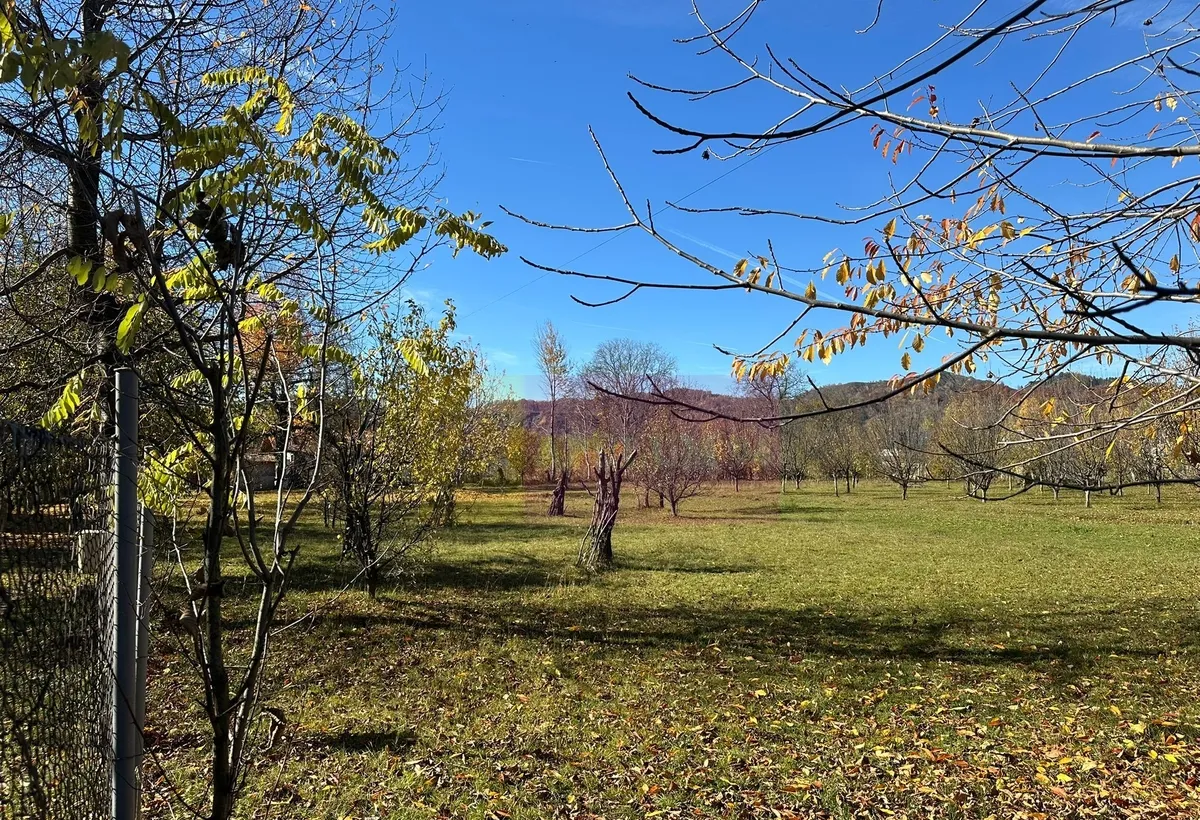 Teren intravilan de vanzare in Brebu zona foarte linistita