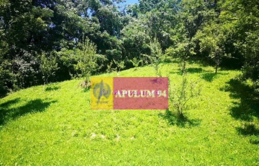 Teren de vanzare in Comarnic zona Poiana