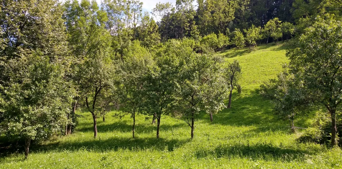 Sinaia Posada muzeu intravilan 4 350 mp deschidere intrare DN1
