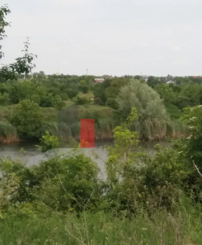 Buftea teren cu iesire la lac