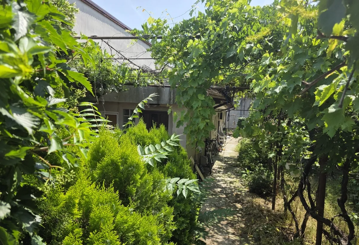 Eroii Revolutiei spital Marius Nasta chiar pe Ion Baiulescu