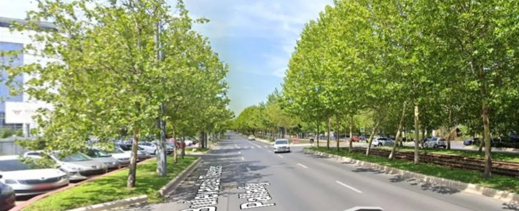 Theodor Palady teren 8300 mp