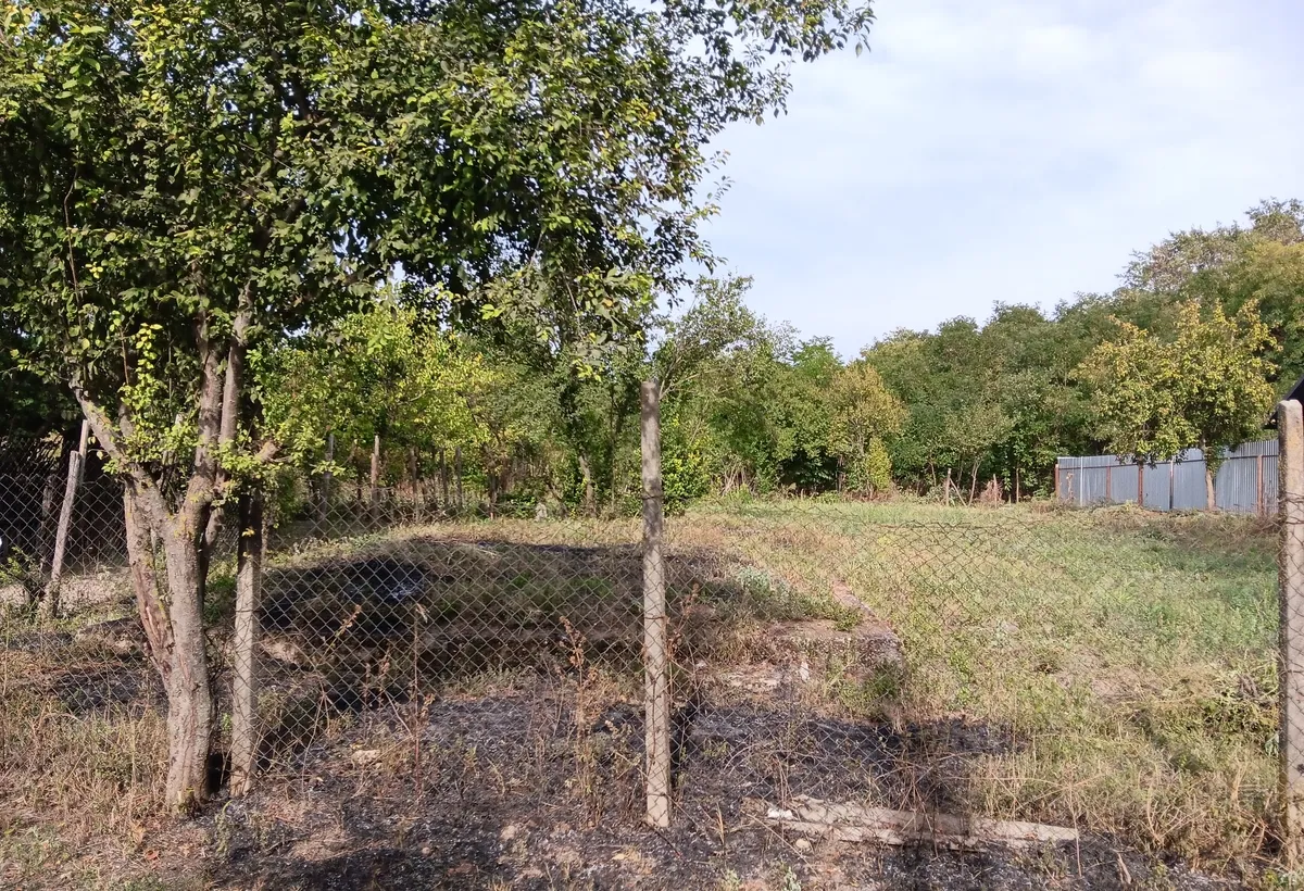 Mereni de Sus Teleorman teren 55 km de Bucuresti