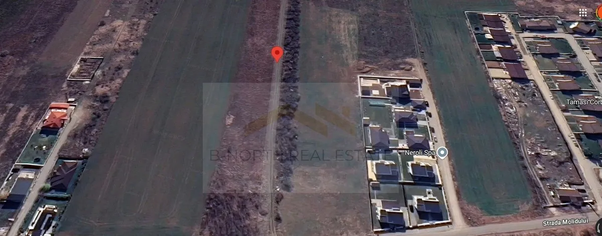 Molidului langa padure teren 600 mp