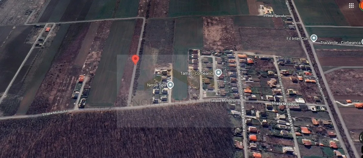 Molidului langa padure teren 600 mp