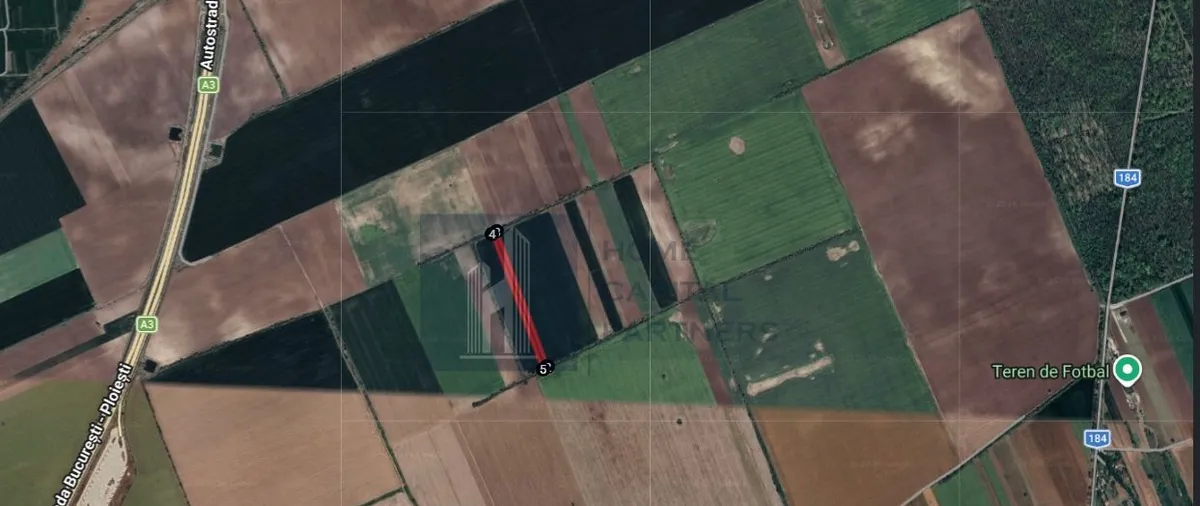 Ilfov Teren extravilan 5500 mp