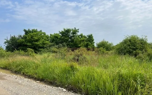 Teren Saftica strada Albinelor