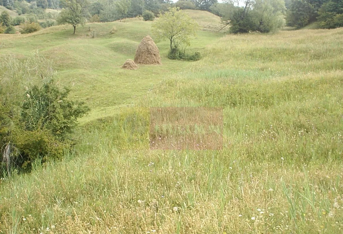Teren extravilan de vanzare in Telega