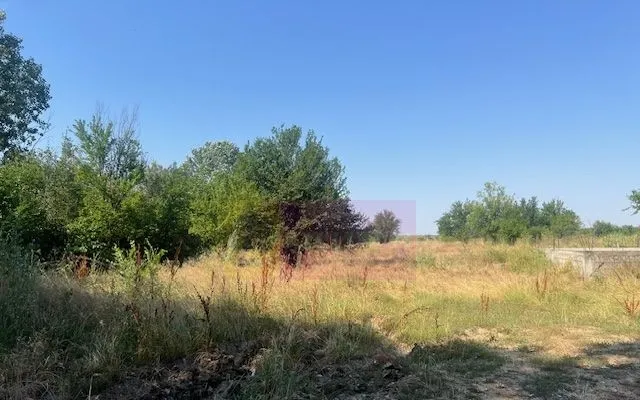 Teren Clinceni Ordoreanu langa Dig