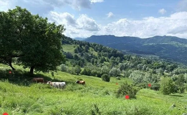 Buzau Teren de vanzare La Bisoca aproape de strada
