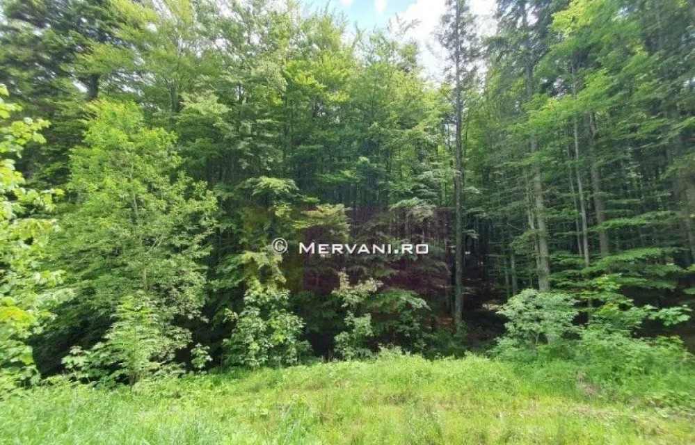 Teren intravilan de vanzare in Sinaia Zona Furnica