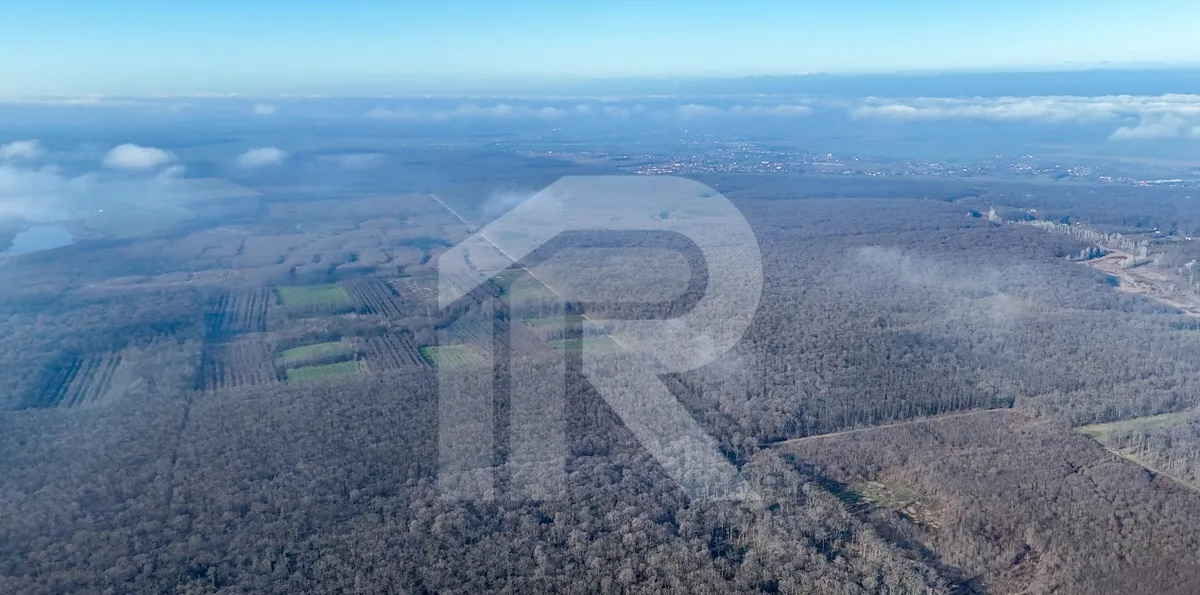 Teren langa Manastirea Sfantul Nicolae Sitaru