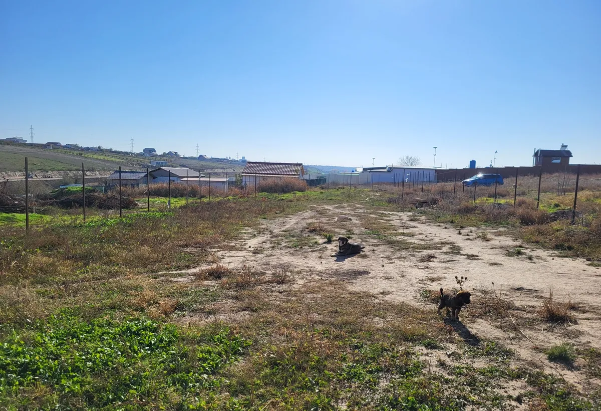 Galati Teren vanzare sat Costi comuna Vanatori