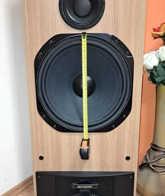 Vand Boxe Sharp MODEL CP-9790P BK - MADE IN U S A