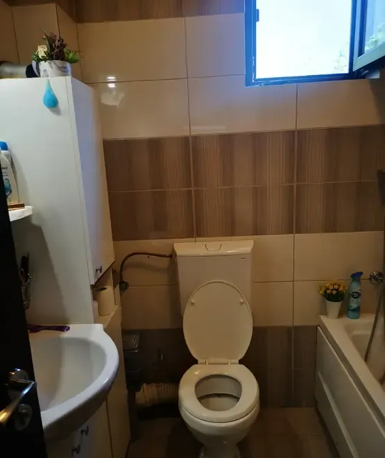 3 camere decomandat parter si curte privata