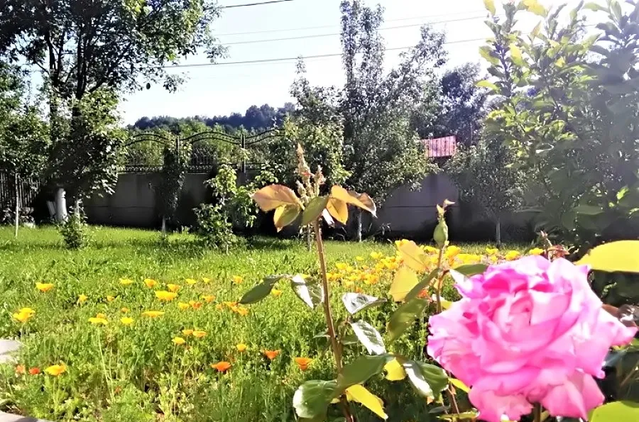 Breaza Nistoresti DN1 Prahova