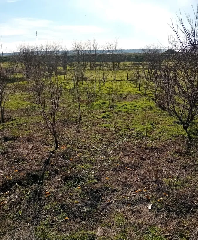 Calarasi comuna Soldanu