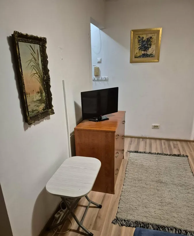 Alexandru Obregia Dragos Mladinovici