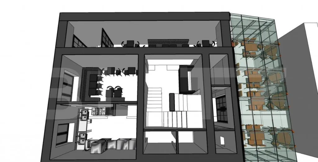 Casa batraneasca teren 19 000 mp Fratautii Vechi