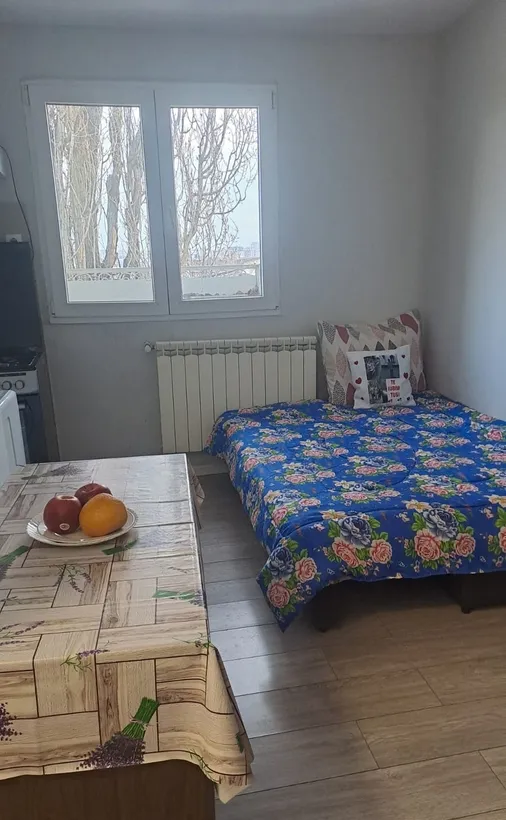 Antiaeriana Crizantemelor