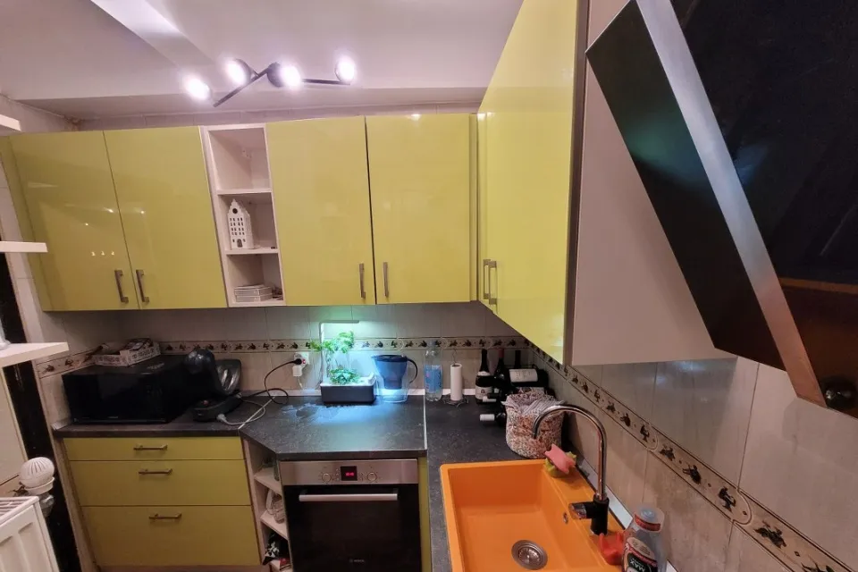 Corneliu Coposu la omv 3 Camere