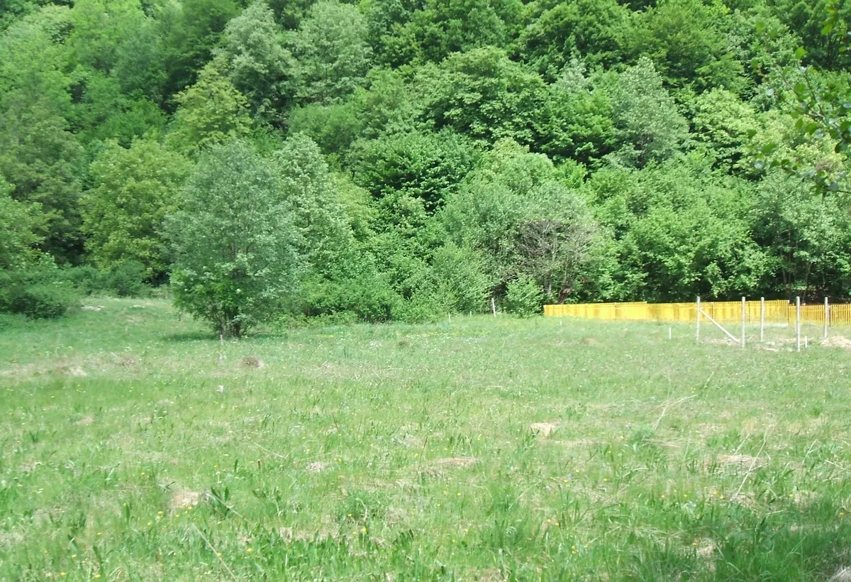 Raul Mare Retezat Parcul National Retezat Judetul Hunedoara