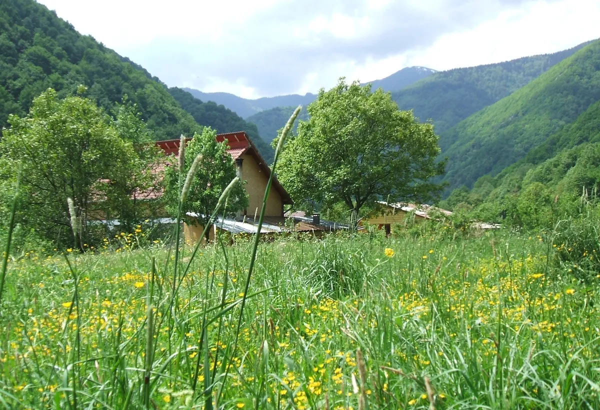 Raul Mare Retezat Parcul National Retezat Judetul Hunedoara