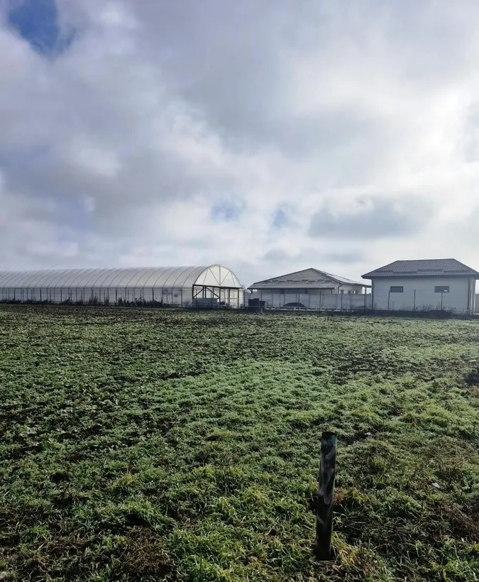 Buftea Cartier Tineretului Magnoliei